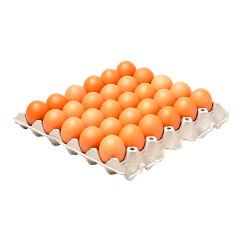 Huevos